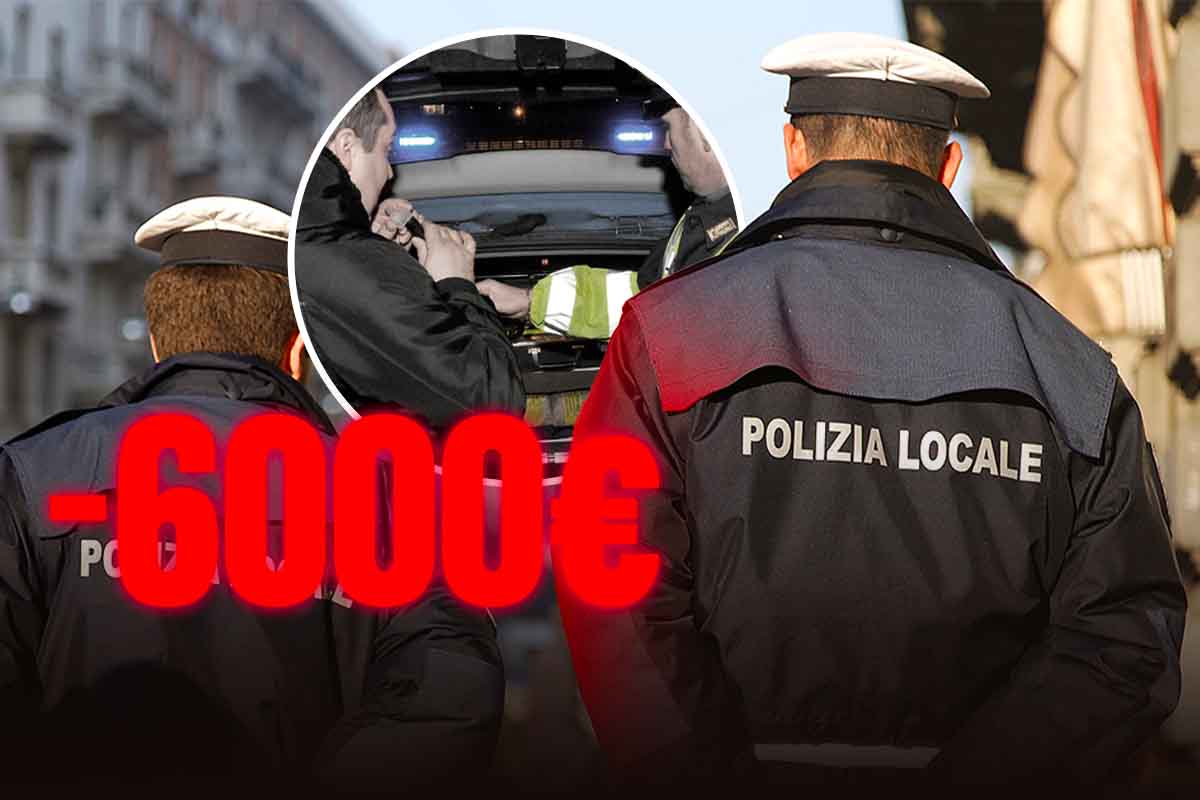 multe auto